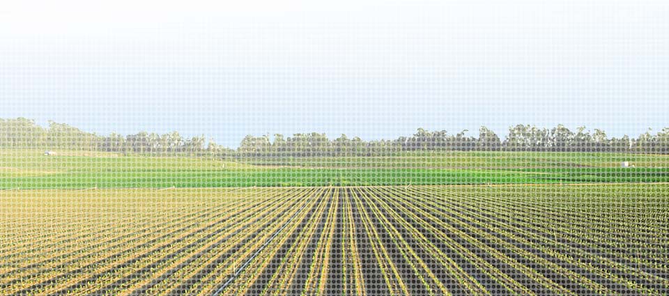 smart-water smart-water